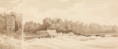 1670年にバッカニアのモーガンによって破壊されたパナマの旧市街の跡地にある廃墟の塔、1850年3月