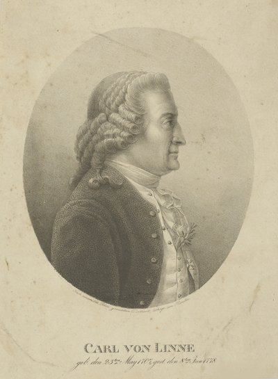 カール・リンネの肖像、1707～1778年頃。 1800年。 作： Adolph Friedrich Kunike