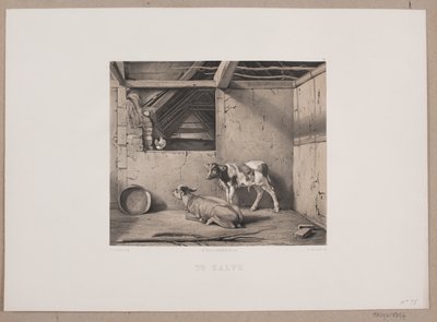ふくらはぎ 作： Johan Adolph Kittendorff