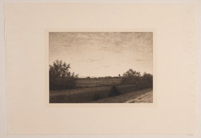 Rødovreの夏の夜 作： Adolph Larsen