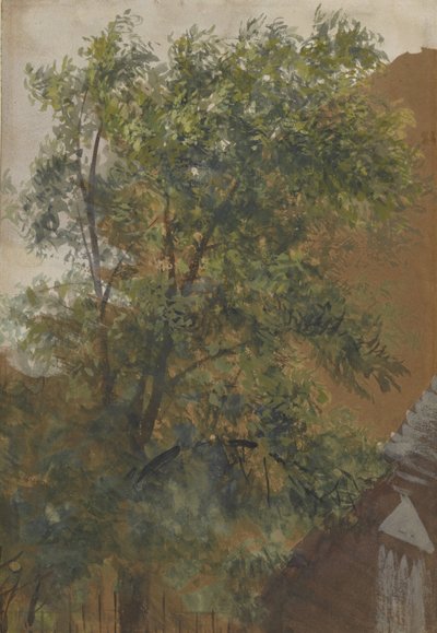Marienstrasse 22 にある彼のスタジオの中庭の窓からの眺め 作： Adolph Menzel