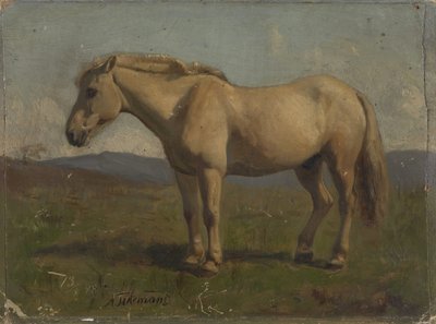  作： Adolph Tidemand
