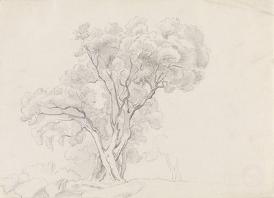  作： Adolph Tidemand