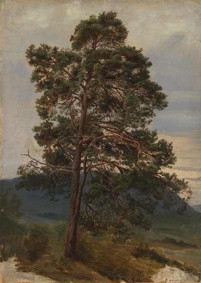  作： Adolph Tidemand