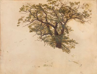  作： Adolph Tidemand