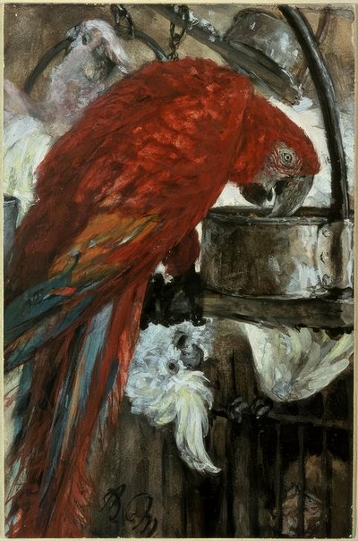 コンゴウインコとオウム 作： Adolph Menzel