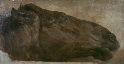 馬の研究。右側面に向かって 作： Adolph Menzel