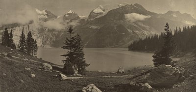 [アルプスの風景] 作： Adolphe Braun