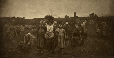 清掃員を呼ぶ 作： Adolphe Braun