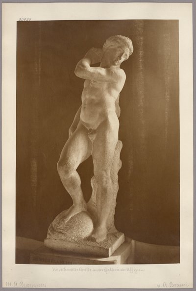 フィレンツェ：ウフィツィ美術館に所蔵されるミケランジェロの未完の『アポロ像』 作： Adolphe Braun