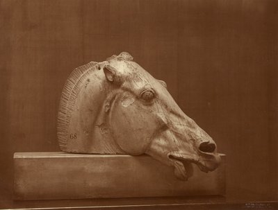 [パルテノン神殿のペディメントに描かれた馬の頭部、大英博物館所蔵] 作： Adolphe Braun
