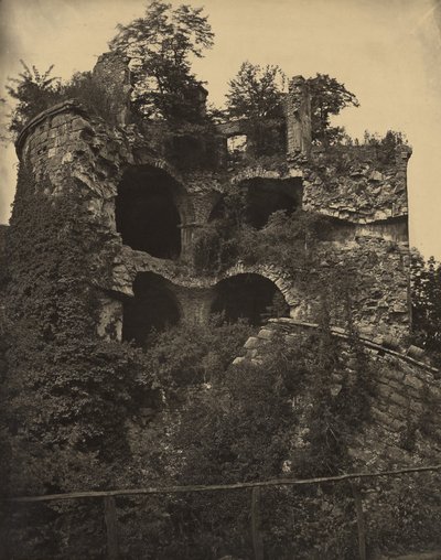 [ハイデルベルク城］ 作： Adolphe Braun