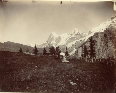 ランドスケープ、スイス、c。 1860。 作： Adolphe Braun