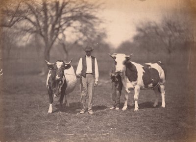 風景,c.1864年（写真） 作： アドルフ・ブラウン