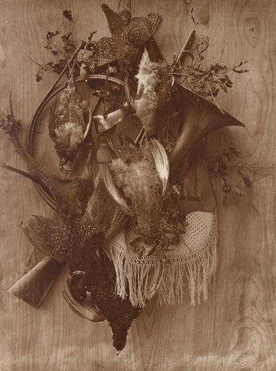 キジとライチョウ、カリフォルニア州。 1865年。 作： Adolphe Braun