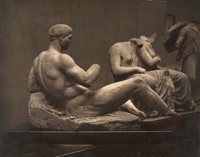 パルテノン神殿の彫刻、大英博物館、c。 1870年代。 作： Adolphe Braun