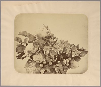 マルメロとベリーの静物画 作： Adolphe Braun