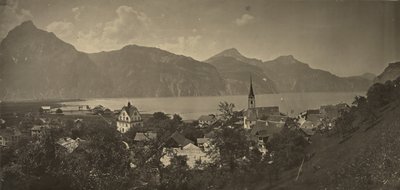 スイスのフルーレンの眺め 作： Adolphe Braun