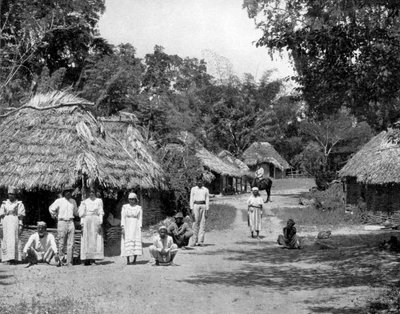 ネイティブの小屋、ジャマイカ、c1905。 作： Adolphe Duperly and Son