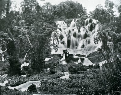轟音リバーフォールズ、ジャマイカ、c1905。 作： Adolphe Duperly and Son