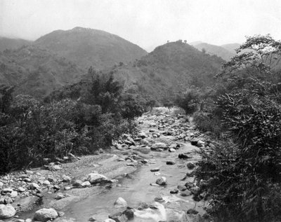 Wag-River、キャッスルトン、ジャマイカ、c1905。 作： Adolphe Duperly and Son