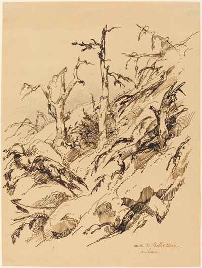 枯れ木と枯れ木がある岩だらけの丘の中腹 作： Adolphe Etienne Viollet Le Duc II