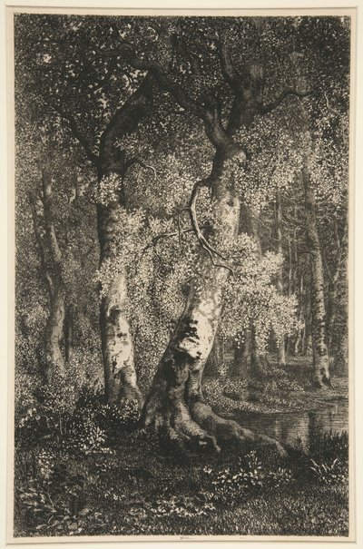 ブナ 作： Adolphe Martial Potemont