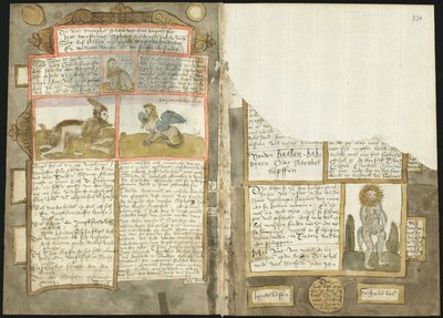 Adriaen CoenenのVisboeck - KB 78 E 54 - フォリオ329v（左）と330r（右）。 作： Adriaen Coenen