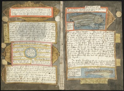 Adriaen CoenenのVisboeck - KB 78 E 54 - フォリオ370v（左）と371r（右）。 作： Adriaen Coenen