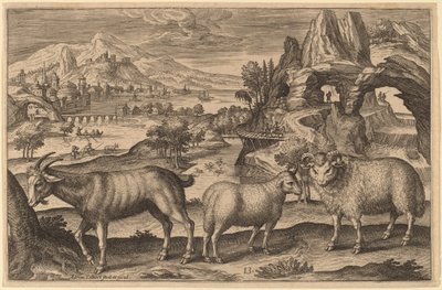 ヤギ、ヒツジ、ラム 作： Adriaen Collaert