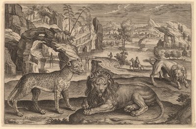 ヒョウと 2 頭のライオン 作： Adriaen Collaert