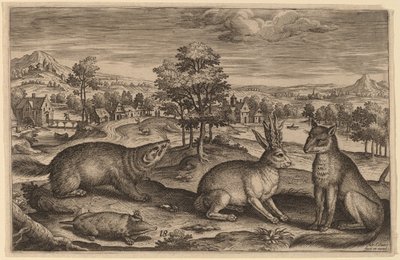 モグラ、アナグマ、ツノウサギ、キツネ 作： Adriaen Collaert