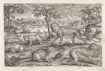 サルとネコ 四つ足の動物（シリーズタイトル） Animalivm Qvaddrvpedvm (シリーズタイトル) 作： Adriaen Collaert