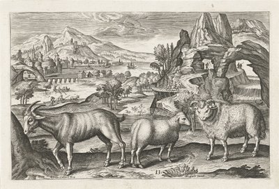 ヤギとヒツジ 四つ足の動物（シリーズタイトル） Animalivm Qvaddrvpedvm (シリーズタイトル) 作： Adriaen Collaert
