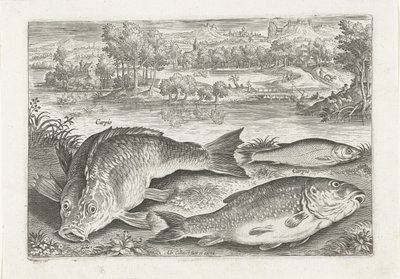 岸辺に 3 匹の鯉 釣り（連載タイトル） Piscium v​​ivae アイコン (シリーズ タイトル) 作： Adriaen Collaert