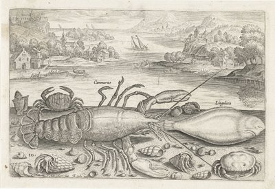 ビーチで魚といくつかの甲殻類 釣り（連載タイトル） Piscivm vivae アイコン (シリーズ タイトル) 作： Adriaen Collaert