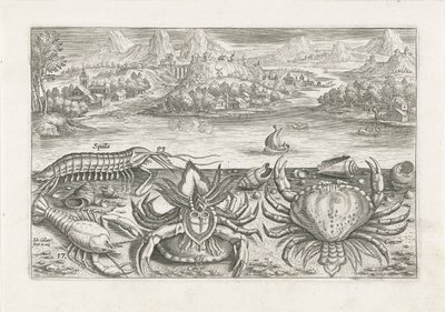 ビーチでいくつかの甲殻類 釣り（連載タイトル） Piscium v​​ivae アイコン (シリーズ タイトル) 作： Adriaen Collaert