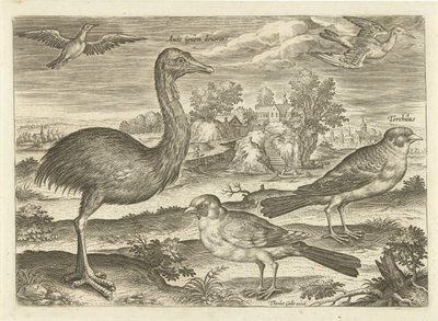 風景の中のいくつかの鳥 鳥（シリーズタイトル） Avium v​​ivae (シリーズタイトル) 作： Adriaen Collaert