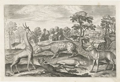 エキゾチックな動物 四つ足の動物（シリーズタイトル） Animalivm Qvaddrvpedvm (シリーズタイトル) 作： Adriaen Collaert