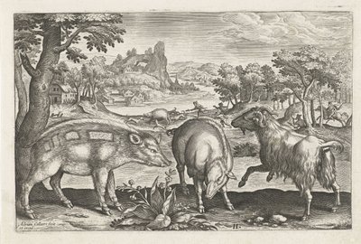 ヤギとイノシシ 四つ足の動物（シリーズタイトル） Animalivm Qvaddrvpedvm (シリーズタイトル) 作： Adriaen Collaert