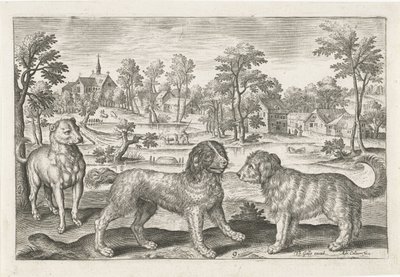 犬 四つ足の動物（シリーズタイトル） Animalivm Qvaddrvpedvm (シリーズタイトル) 作： Adriaen Collaert