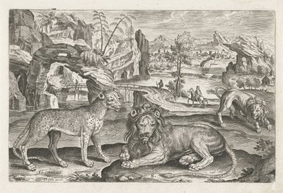 ライオンズとヒョウ 四つ足の動物（シリーズタイトル） Animalivm Qvaddrvpedvm (シリーズタイトル) 作： Adriaen Collaert