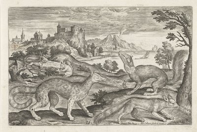 テン、リス、キツネ 四つ足の動物（シリーズタイトル） Animalivm Qvaddrvpedvm (シリーズタイトル) 作： Adriaen Collaert