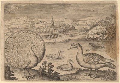 孔雀とガチョウ 作： Adriaen Collaert