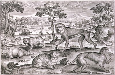 三匹の猫と二匹の猿（彫刻作品） 作： Adriaen Collaert