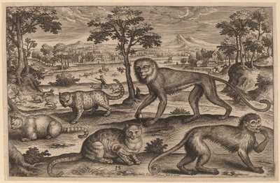 三匹の猫と二匹の猿 作： Adriaen Collaert