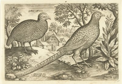 風景の中の 2 羽の鶏 Avivm Vivae (シリーズタイトル) 鳥（シリーズタイトル） 作： Adriaen Collaert
