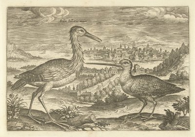 風景の中の 2 羽の鳥 鳥（シリーズタイトル） Avium v​​ivae (シリーズタイトル) 作： Adriaen Collaert