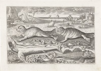 浜辺の 2 匹のアザラシと 2 匹の魚 釣り（連載タイトル） Piscivm vivae アイコン (シリーズ タイトル) 作： Adriaen Collaert