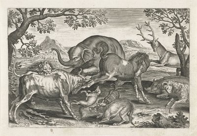 戦う動物 四つ足の動物（シリーズタイトル） Animalivm Qvaddrvpedvm (シリーズタイトル) 作： Adriaen Collaert